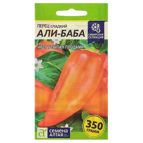 ���� ������ ����� 