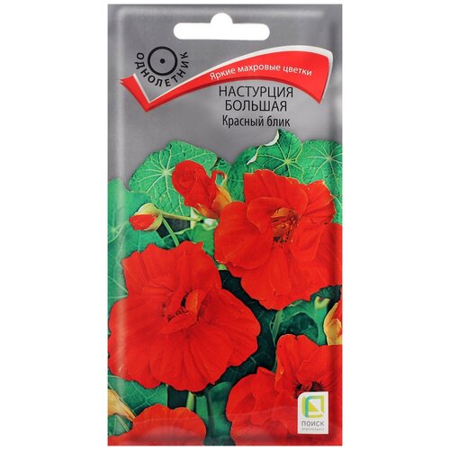 ���� ������ ������ ��������� ������� ������� ���� 1 �, ������ �� 239 ���