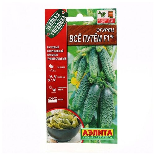 ���� ��������� ������ ������ ������ 