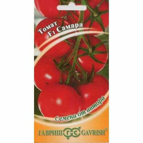 ���� ������ ����� ������ F1, ������������, �����������, (������) 12��, ������ �� 64 ���