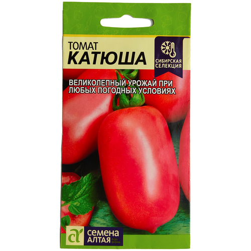 ���� ������ ������ 