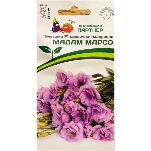 ���� ������ ������� ��������� �������� 