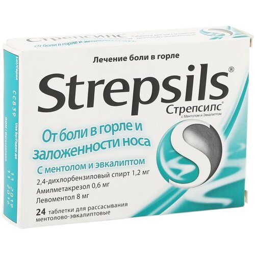 ���� ��������� ������ � �������� ���. �/������., 24 ��., ������ + ��������, ������ �� 485 ���