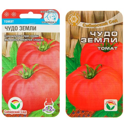 ���� ������ ����� 