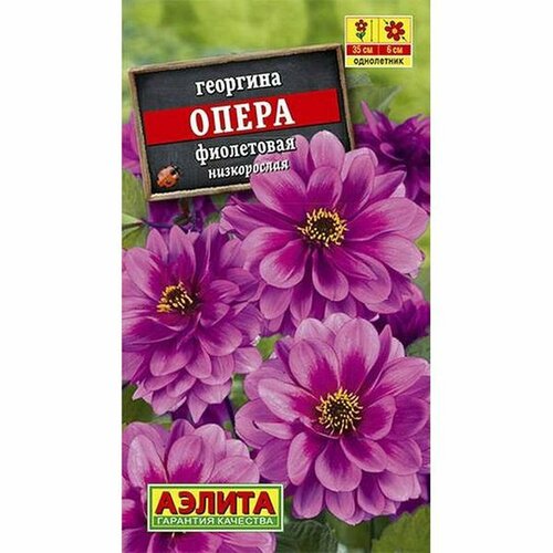 ���� ������ �������� ����� ���������� (����������) (������) 7��, ������ �� 61 ���