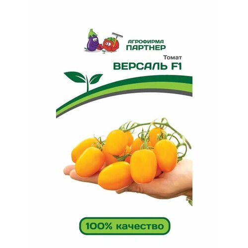 ���� ����� 