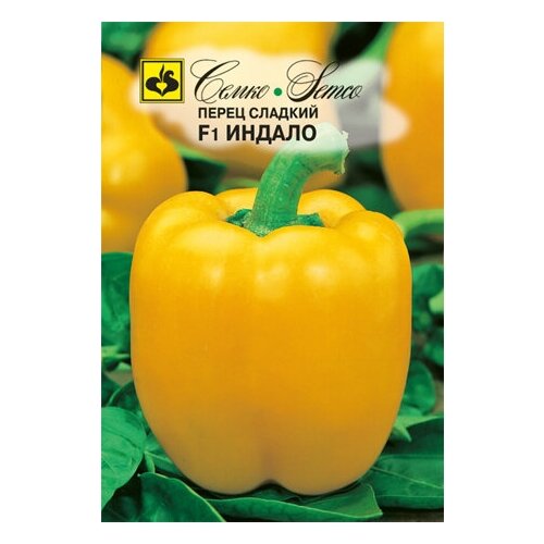 ���� ����� ������ F1, ������ �� 224 ���