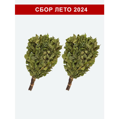 ���� ������ ��������� ������ ���� ���� 2024 ��� ���� � ����� 2 ��, ������ �� 975 ���