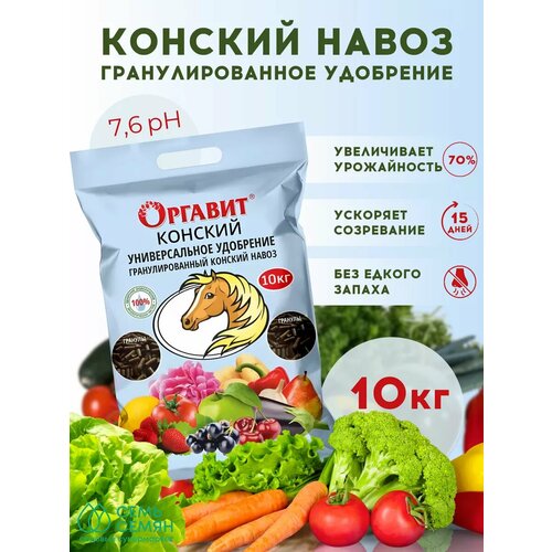 ���� ��������� 