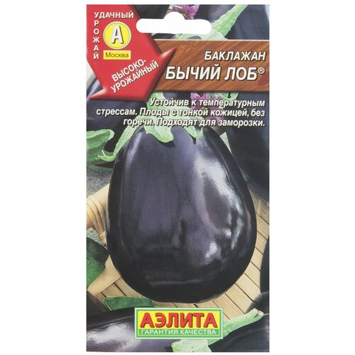 ���� ������. �������� 