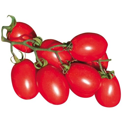 ���� ������ ������ ����� ����� ������� ������ 10 ��., ������ �� 320 ���