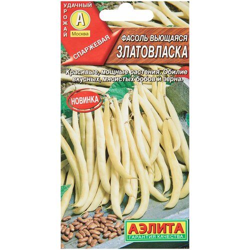 ���� ������. ������ �������� 