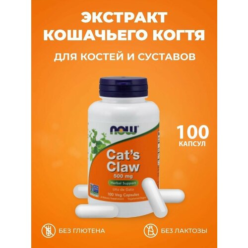  NOW Cat's Claw 500 mg  , 100 .    -     , -, 