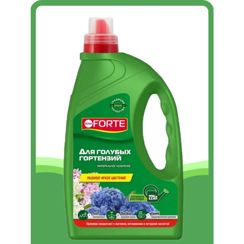    Bona Forte   , 1,5 ,   499 