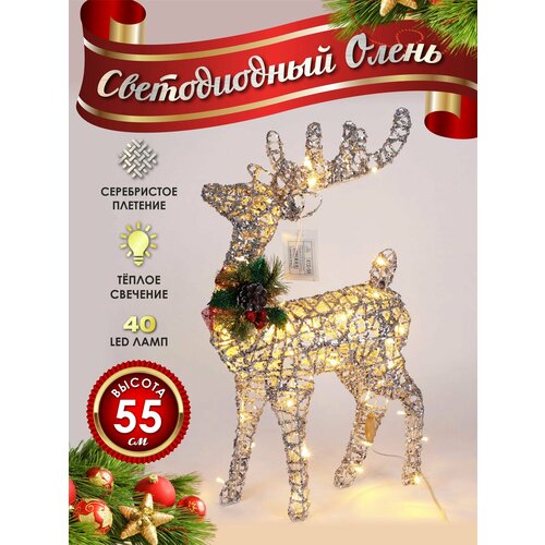 ���� ����� ���������� ������������ ���������� 50 �� ����������, ������ �� 3450 ���