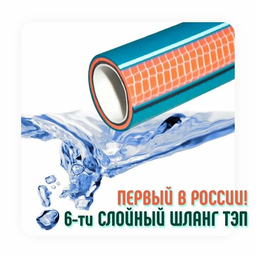 ���� ����� ��� ������ 