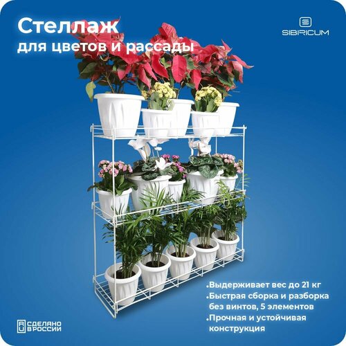    ,   ,  , , 3 , ,   1393 