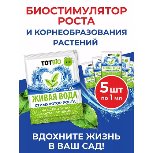 ���� ����� ���������� ����� ������ ��� ������ � ������� 5 ��*1 ��, ������ �� 240 ���