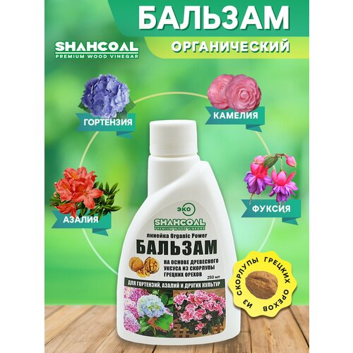 ���� ������� ��� �������� �������� (���������, ������, ������, �������) ������������ ��������� ����������, ������ �� 350 ���