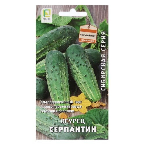 ���� ������ ����� ��������� ����� ������ ��������� 15 ��., ������ �� 66 ���