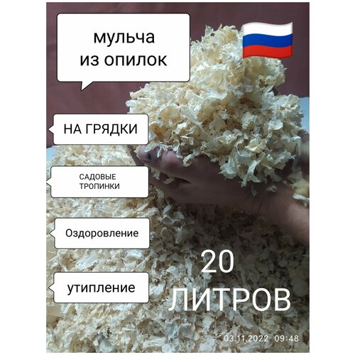 ���� ������ (������) ��������� ��� ���� � �������, ������ �� 770 ���