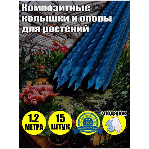 ���� ������� ������� ����� ����������� �������������� ����� 120 ��, ������� 8 ��, �����, 15 �� � ��������, ������ �� 838 ���