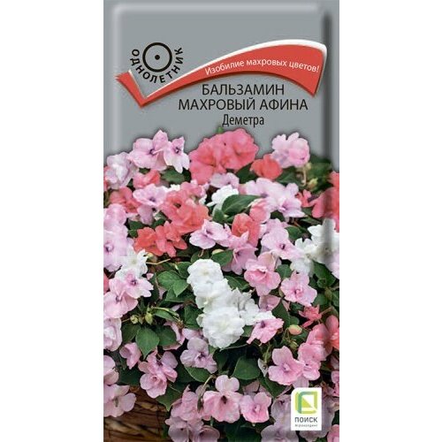 ���� ��������� �������� ����� ������� (��) (