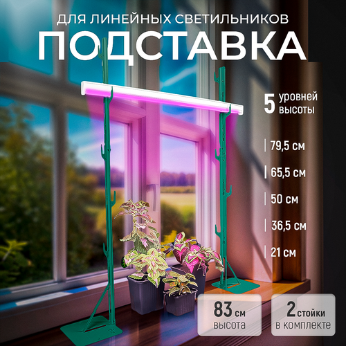 ���� ��������� ��� ���������, 5 �������, ��������� ��� ��������� 83 ��, ������ �� 1000 ���