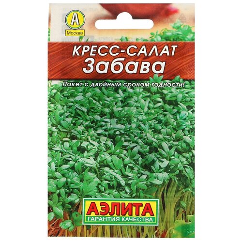 ���� ������ �����-����� 