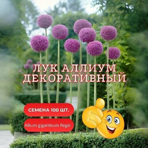 ���� ��� ������ ������������ ���������� ������ ����� ������ 100 ��, ������ �� 489 ���