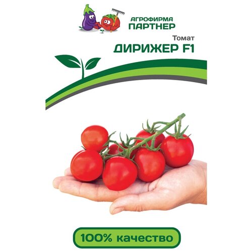 ���� ������ ������ 