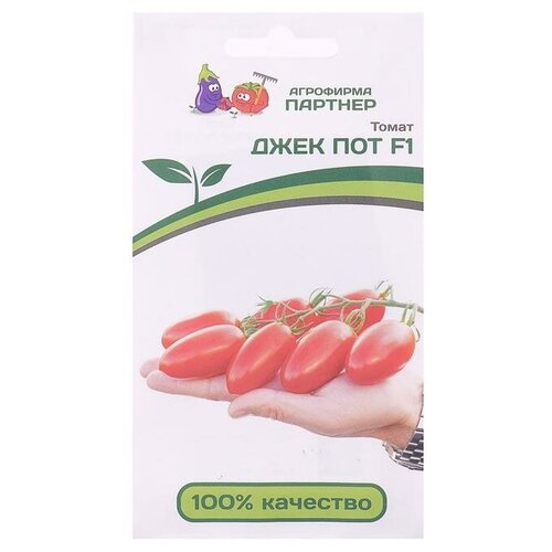 ���� ������ ����� 