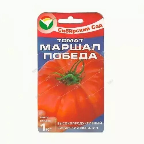 ���� ����� ������ ������, ������ ��������� ��� 20��, ������ �� 205 ���