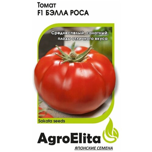 ���� ������ ��������� 