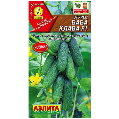 ���� ������ ��������� ������ ������ ���� ����� F1 10 ��, ������ �� 63 ���