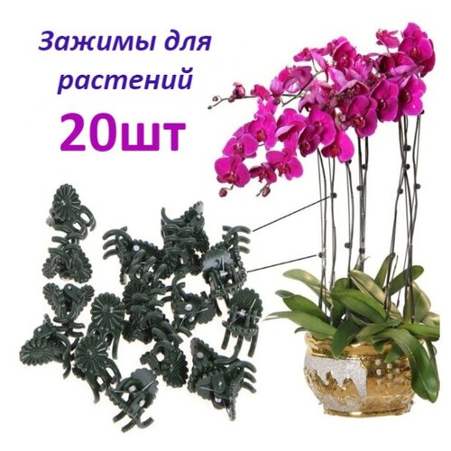 ���� ������ ��� ������� 20 ��, ������ �� 220 ���