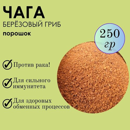 ���� ���� ������� 