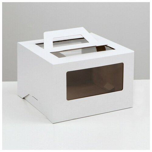 ���� ������� ��� ���� 2 ����, � �������, �����, 30 � 30 � 20 �� �������� 9095461, ������ �� 240 ���