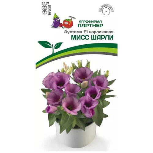 ���� ������ ������� ���������� ���� ����� F1 /��������� �������/ 1 ��������, 5 �����, ������ �� 225 ���