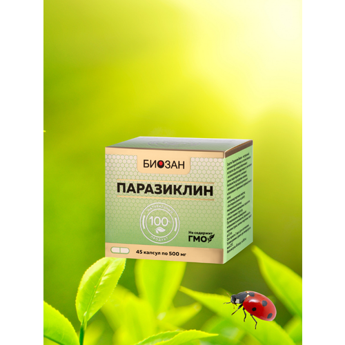 ���� ������������������� �������� ������������, ������ �� 1296 ���