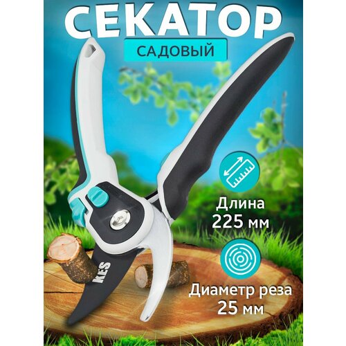 ���� �������� ��� ����������, ������ �� 1587 ���