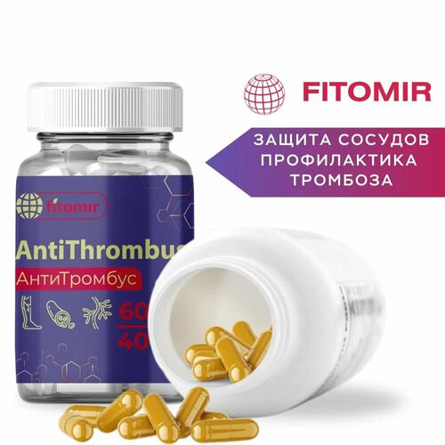 ���� ����������� �� �����������, ��������, ��������, �������������. 60 ������, ������ �� 511 ���