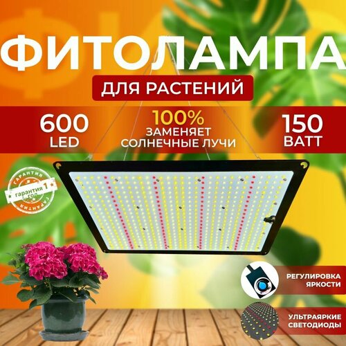 ���� ��������� ��� ����������� �������� ������� ������ ������, ���������������� �������������� ������������ Quantum board, ����� ��������� ��� ������ � �������� 150 ����, ������ �� 10800 ���