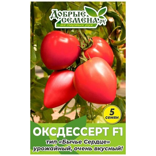      F1 - 5  -  . ,   165 