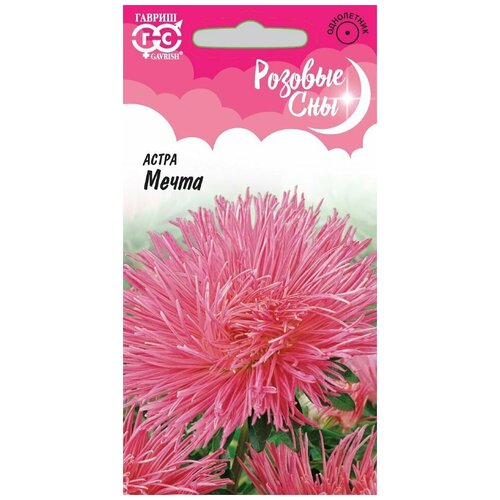 ���� ������. ����� ���������� 