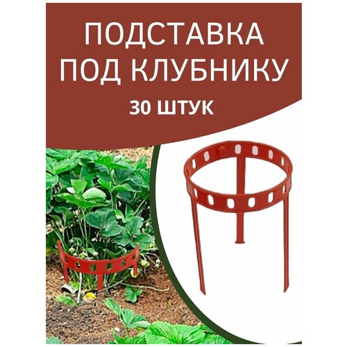 ���� ��������� ����� ������ ��� �������� � �������� 14,5� 34,5 �� 30 ��, ������ �� 791 ���