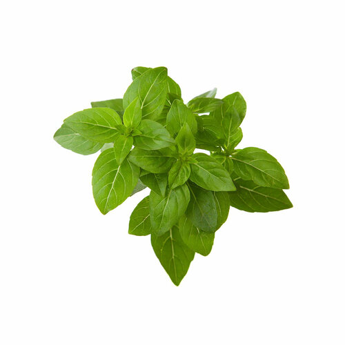 ���� Click And Grow �������� ���������� Click And Grow Dwarf Basil Plant Pods 3 ��. ��� ������ ���� Click And Grow ���������� �������, ������ �� 3063 ���