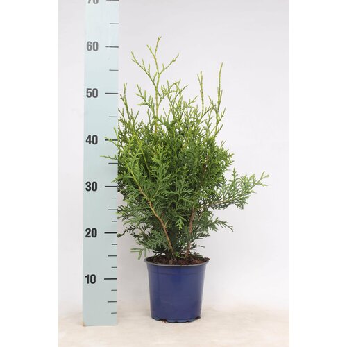      881628 2 H30-40,   899 