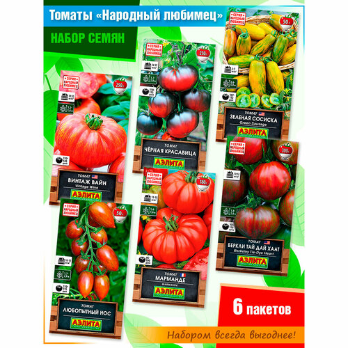 ���� ����� ����� ������� 