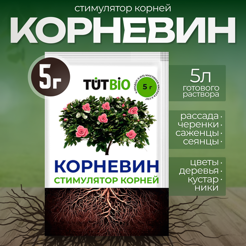 ���� ���������� ����� ������ TUTBIO 